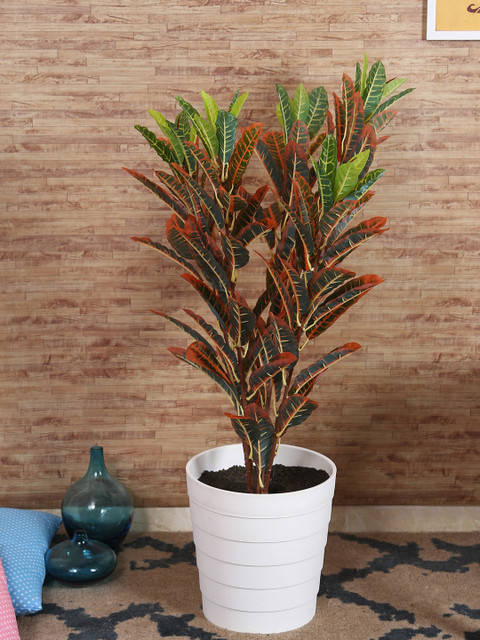 

Fourwalls Green & Brown Artificial Croton Floor Plant Without Pot