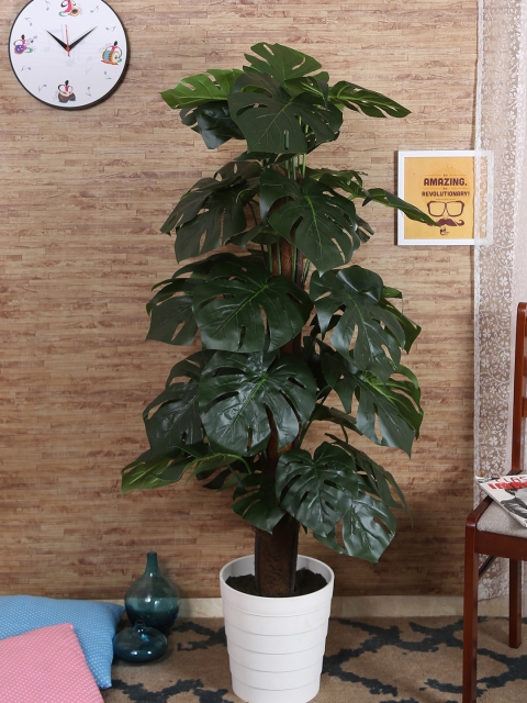 

Fourwalls Green Artificial Monstera Plant Without Pot
