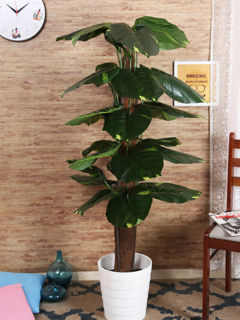 

Fourwalls Green Artificial Money Plant Without Pot