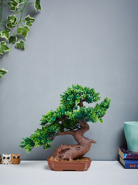 

Oddcraft Green & Brown Sageretia Bonsai Potted Plant