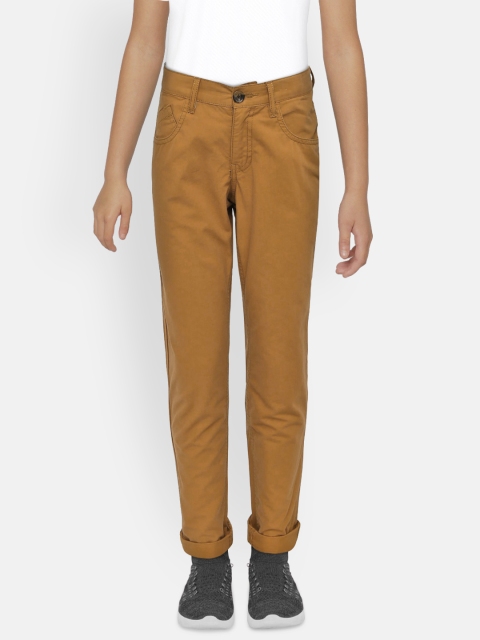 

Indian Terrain Boys Brown Regular Fit Solid Chinos