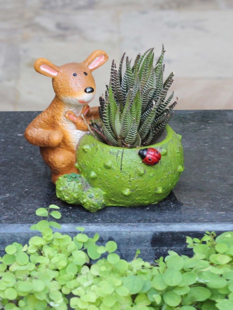 

Aapno Rajasthan Green Planter Pot