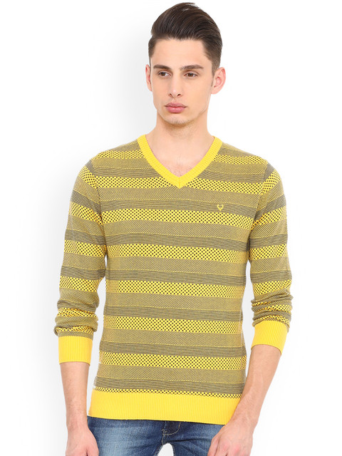 

Allen Solly Men Yellow & Blue Striped Pullover