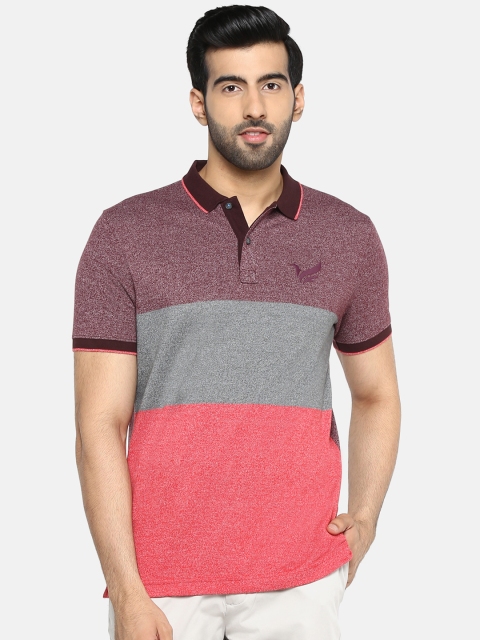 

Blackberrys Men Burgundy & Grey Melange Colourblocked Polo Collar T-shirt