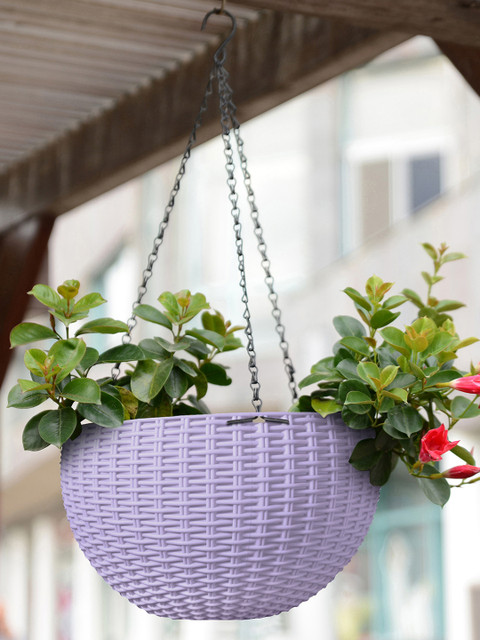 

Story@home Lavender Hanging Pot Planter