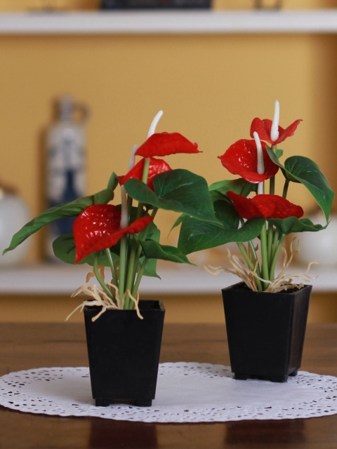 

Fourwalls Set Of 2 Red Artificial Anthurium Flower Plants in a Melamine vase