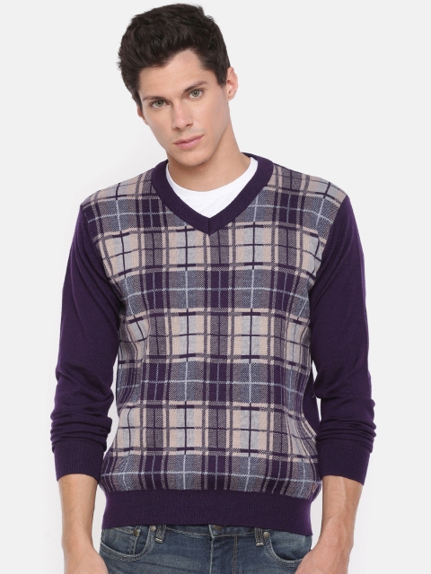

Raymond Men Purple Self Design Pullover Sweater