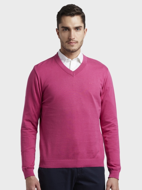 

ColorPlus Men Fuchsia Solid Pullover