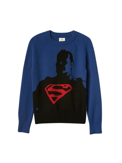 

GAP Boys' Blue Junkfood DC Comics Intarsia Sweater