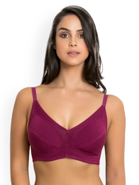 

Rosaline Purple Solid Non-Wired Non Padded Everyday Bra RO00ROLB06EPURP