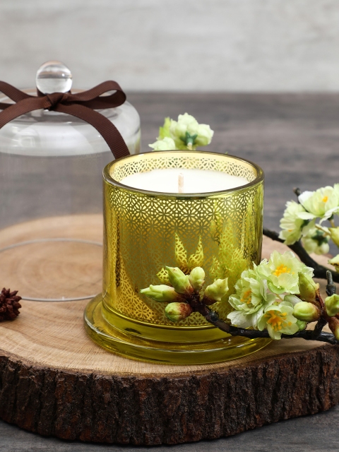 

Pure Home and Living Green & White Aromatic Glass Jar Candle with Dome