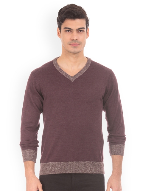 

Arrow Men Purple Solid Sweater