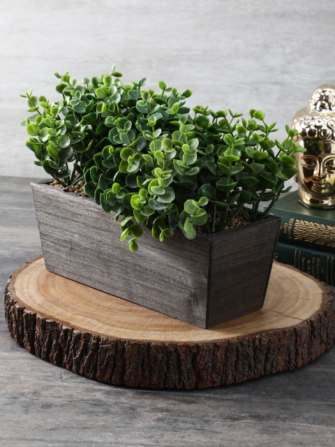 

Pure Home and Living Green & Brown Mini Blossoms Plant