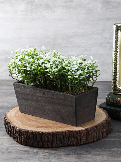 

Pure Home and Living Green & White Mini Blossoms