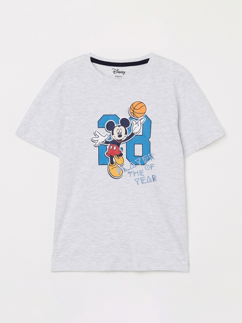 

Fame Forever by Lifestyle Boys Grey Printed Round Neck T-shirt