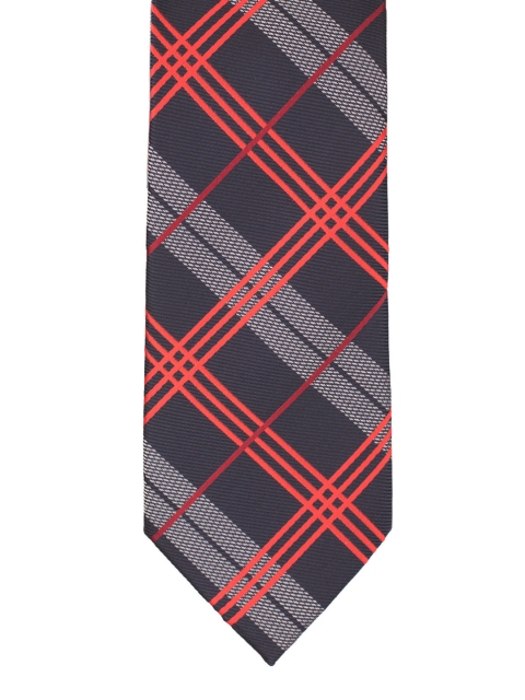 

The Tie Hub Navy Blue & Red Checked Skinny Tie