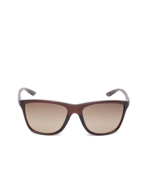 

French Connection Unisex Wayfarer Sunglasses 8903232142215, Brown