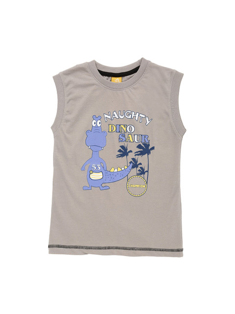 

Dollar Champion Kidswear Boys Grey Printed Round Neck T-shirt