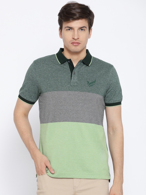 

Blackberrys Men Green & Grey Colourblocked Polo Collar T-shirt
