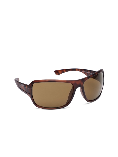 

Killer Unisex Rectangle Sunglasses KLN3022BFO BRN, Brown