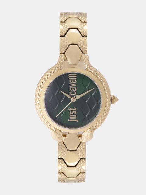 

Just Cavalli Women Green Analogue Watch JC1L046M0075