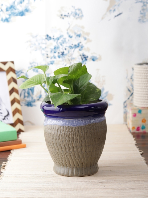 

VarEesha Grey & Blue Handcrafted Ceramic Planter