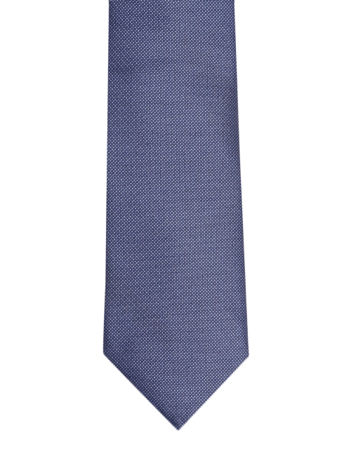 

Louis Philippe Blue Printed Broad Tie