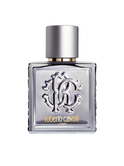 

Roberto Cavalli Men Uomo Silver Essence EDT 100ml