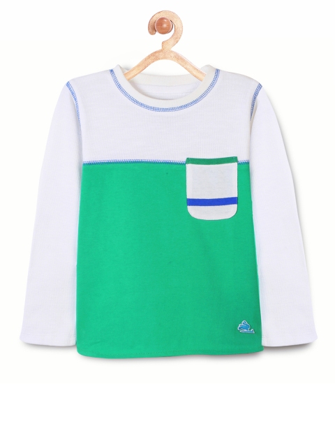 

Cherry Crumble Boys Green & White Colourblocked Round Neck T-shirt