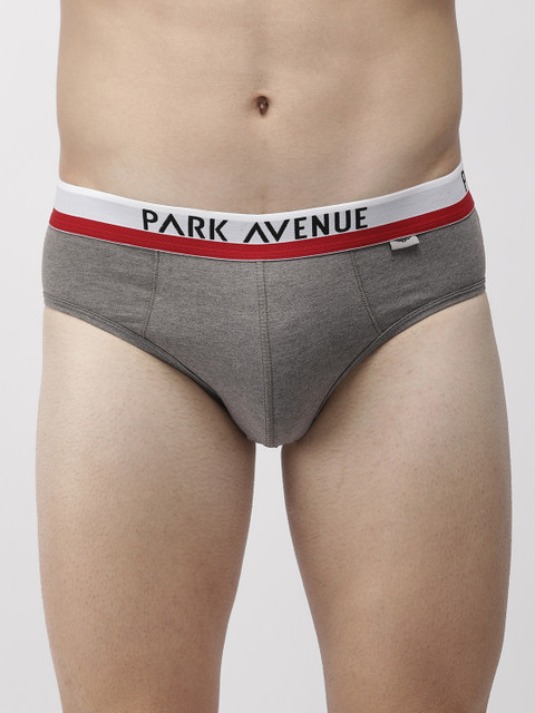 

Park Avenue Men Grey Solid Briefs 8907920073263