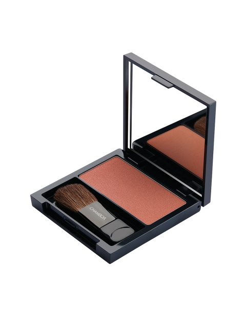 

Chambor 06 Dusty Rose Luminous Blush, Pink