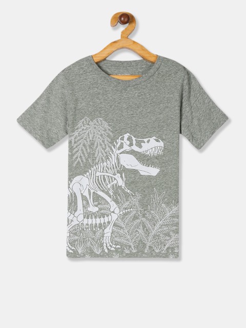 

The Childrens Place Boys Green Dinosaur Printed Round Neck T-shirt
