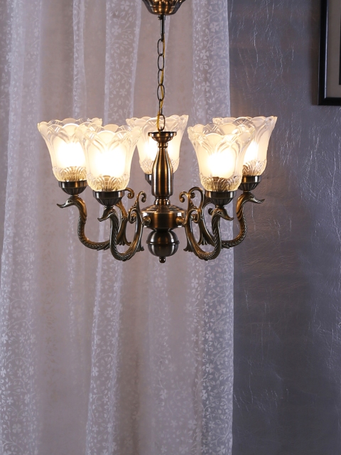 

Aesthetic Home Solutions Black & Transparent Textured Hanging Ceiling Lantern
