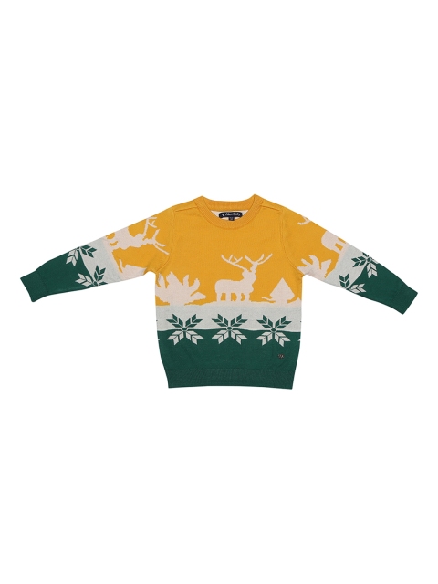 

Allen Solly Junior Boys Yellow Self Design Sweater