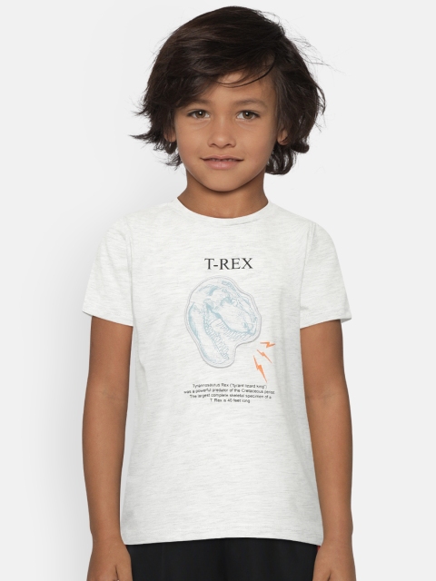 

Mango Kids Boys Grey Melange Printed Round Neck T-shirt