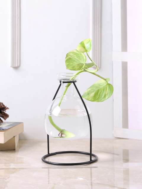 

TAYHAA Transparent Glass Flower Vase