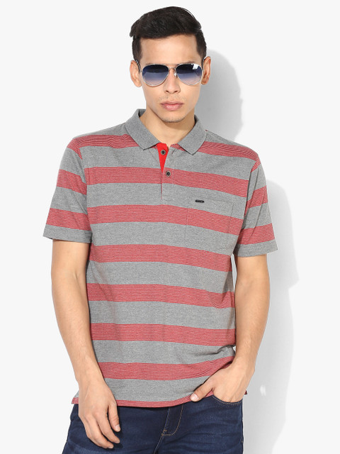 

Grey Striped Regular Fit Polo T-Shirt