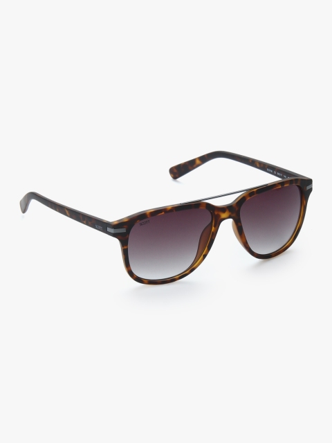 

Aviator Sunglasses, Brown