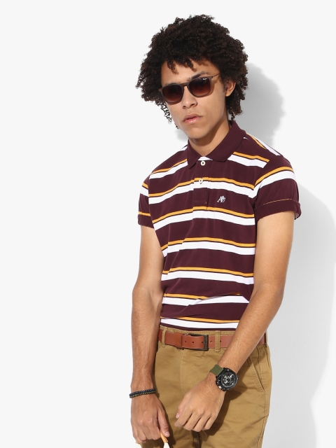 

Maroon Striped Regular Fit Polo T-Shirt