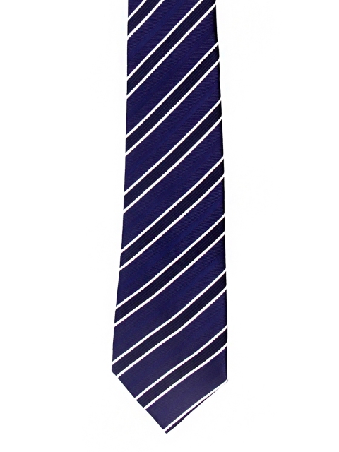 

Tossido Blue Men Striped Broad Tie