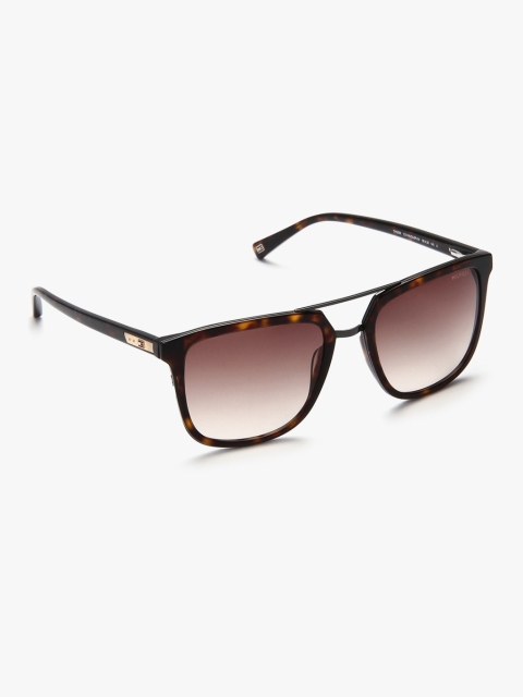 

Square Sunglasses, Brown