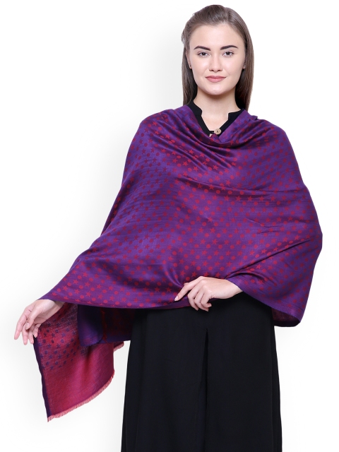 

Anekaant Women Purple Woven Design Shawl