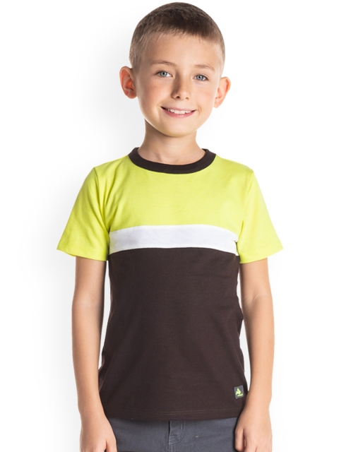 

Cherry Crumble Boys Brown Colourblocked Round Neck T-shirt