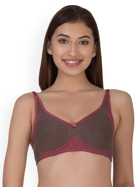 

Clovia Brown & Maroon Colourblocked Non-Wired Non Padded T-shirt Bra BR1030Z0640C