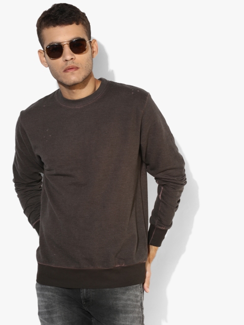 

Brown Solid Sweatshirt