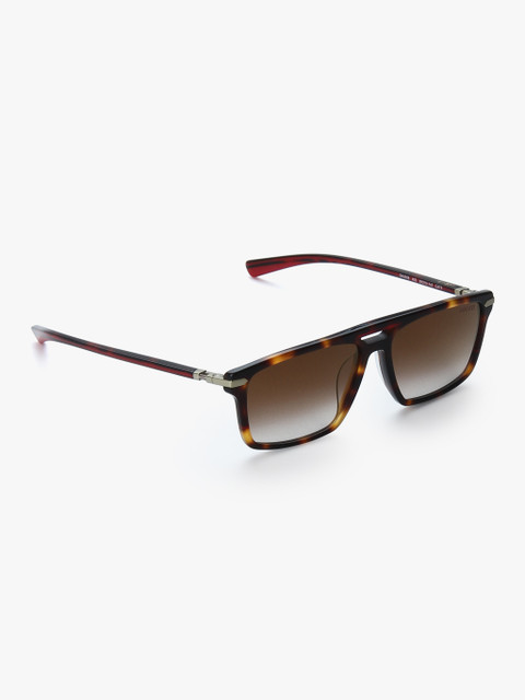 

Ducati Unisex Square Sunglasses, Brown