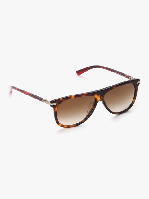 

Wayfarer Sunglasses, Brown