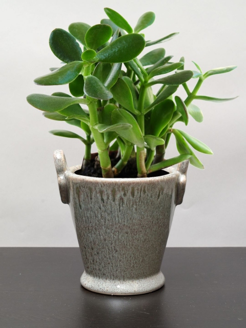 

Unravel India Studio Design Ceramic Hanging Planter, Grey
