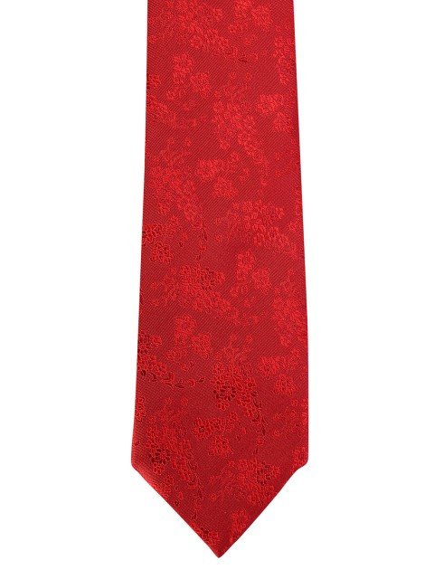 

Peter England Men Red Accessory Gift Set