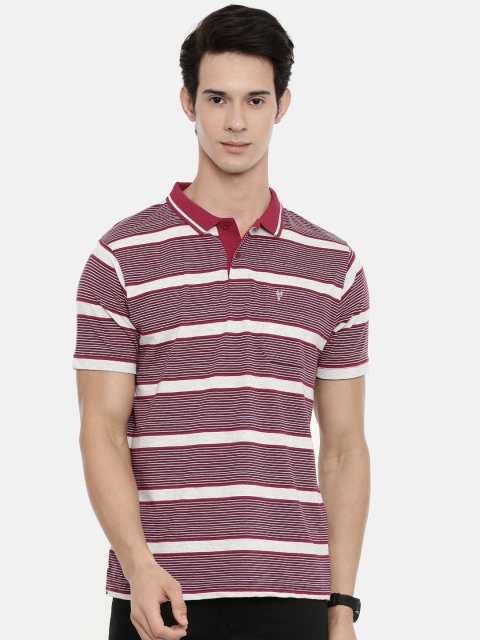 

Classic Polo Men White & Maroon Striped Polo Collar Slim Fit T-shirt